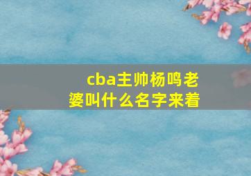 cba主帅杨鸣老婆叫什么名字来着