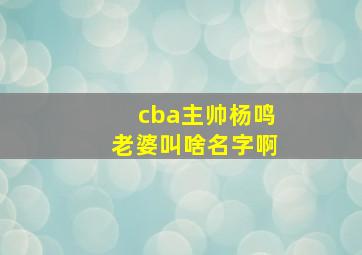 cba主帅杨鸣老婆叫啥名字啊