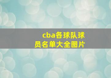 cba各球队球员名单大全图片