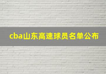 cba山东高速球员名单公布