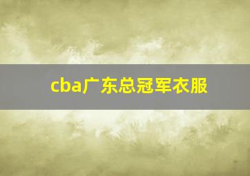 cba广东总冠军衣服