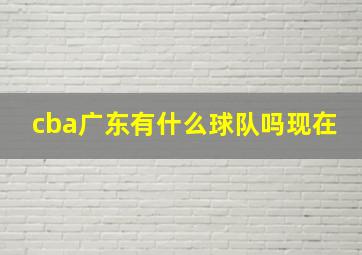 cba广东有什么球队吗现在