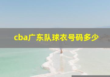 cba广东队球衣号码多少