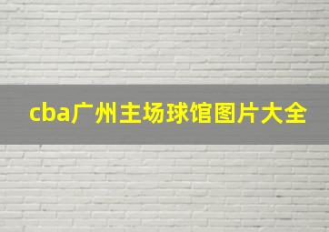 cba广州主场球馆图片大全