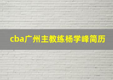 cba广州主教练杨学峰简历