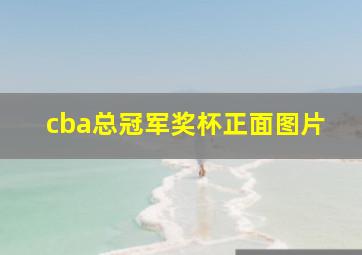 cba总冠军奖杯正面图片