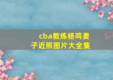 cba教练杨鸣妻子近照图片大全集