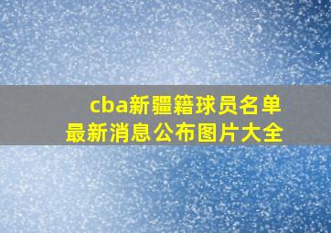 cba新疆籍球员名单最新消息公布图片大全