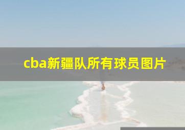 cba新疆队所有球员图片