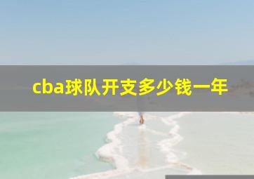 cba球队开支多少钱一年