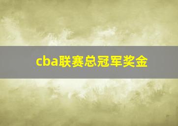 cba联赛总冠军奖金