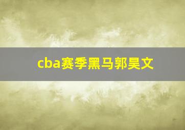 cba赛季黑马郭昊文