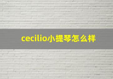 cecilio小提琴怎么样