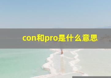 con和pro是什么意思