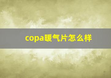 copa暖气片怎么样