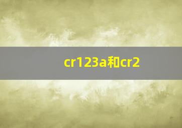 cr123a和cr2