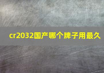 cr2032国产哪个牌子用最久