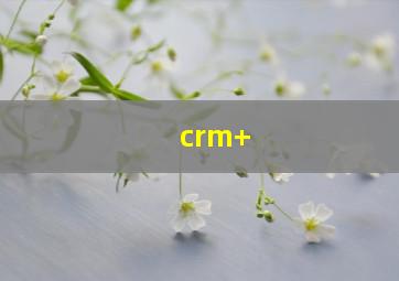 crm+