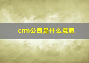 crm公司是什么意思