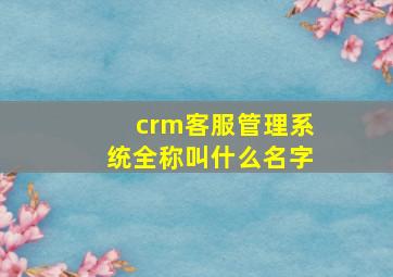 crm客服管理系统全称叫什么名字