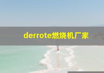 derrote燃烧机厂家