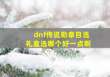 dnf传说勋章自选礼盒选哪个好一点啊