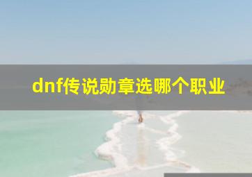 dnf传说勋章选哪个职业