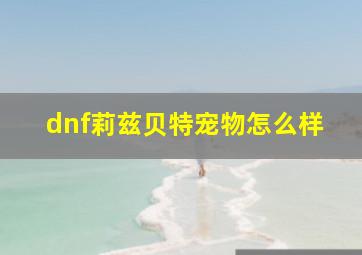 dnf莉兹贝特宠物怎么样