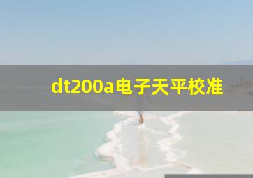 dt200a电子天平校准