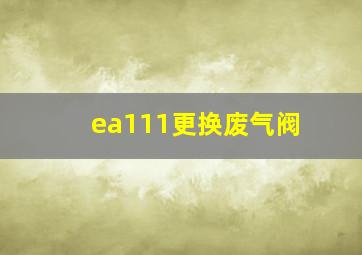 ea111更换废气阀