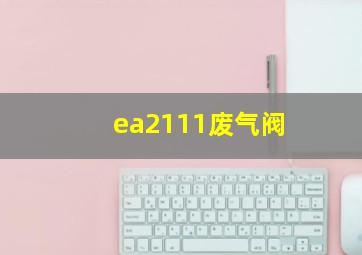 ea2111废气阀