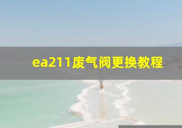 ea211废气阀更换教程