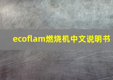 ecoflam燃烧机中文说明书