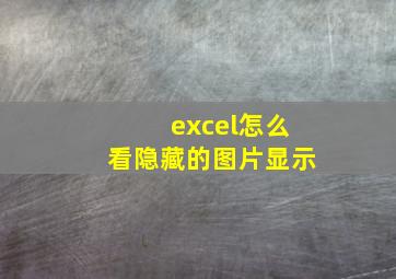 excel怎么看隐藏的图片显示