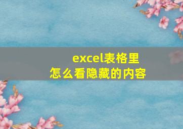 excel表格里怎么看隐藏的内容