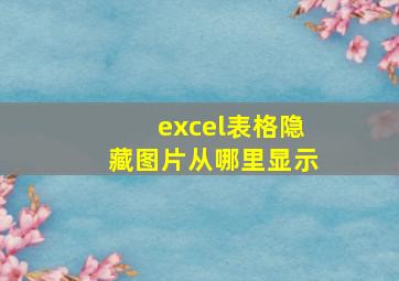 excel表格隐藏图片从哪里显示