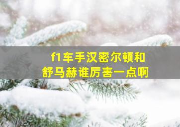 f1车手汉密尔顿和舒马赫谁厉害一点啊