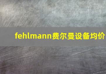 fehlmann费尔曼设备均价