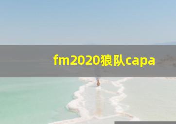 fm2020狼队capa