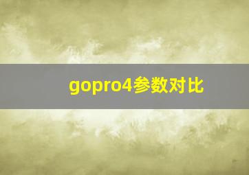 gopro4参数对比