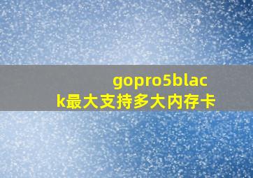 gopro5black最大支持多大内存卡