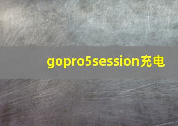 gopro5session充电