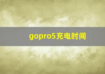 gopro5充电时间