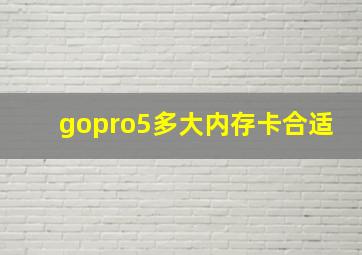 gopro5多大内存卡合适