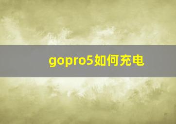 gopro5如何充电