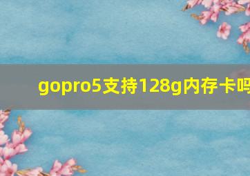 gopro5支持128g内存卡吗