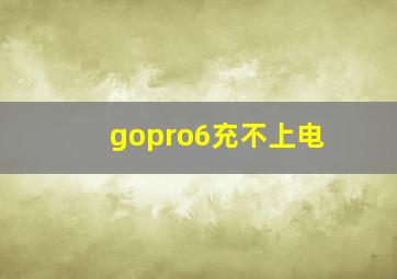 gopro6充不上电