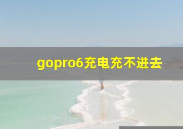 gopro6充电充不进去