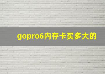 gopro6内存卡买多大的