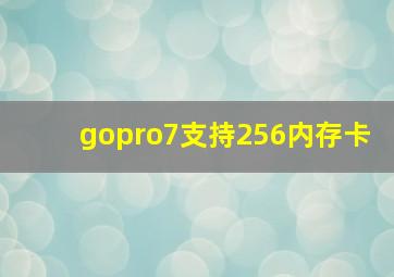 gopro7支持256内存卡